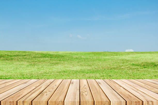 istock wood plank on natural green grass field and sky background 645891642