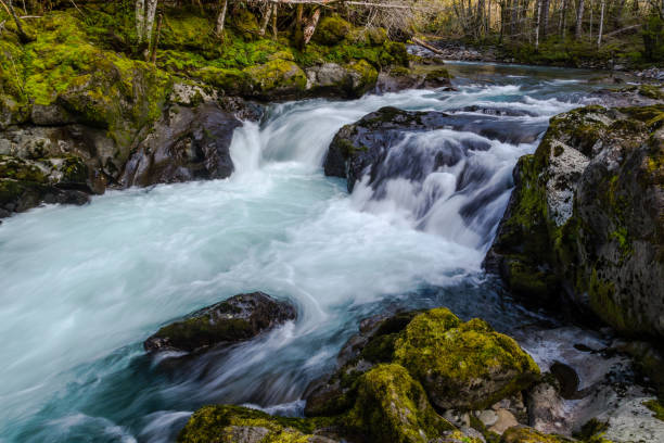 istock Little Luckiemute River 645897318