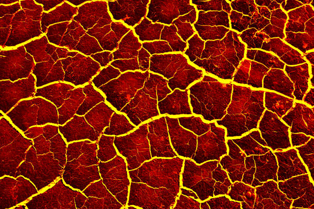 istock the surface of the lava. background 645906518