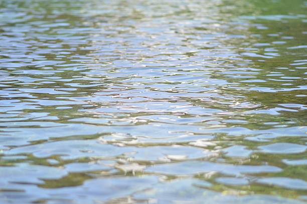 istock Full Frame Shot Of Water In Lake 645907571