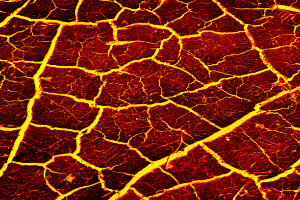 istock the surface of the lava. background 645909236