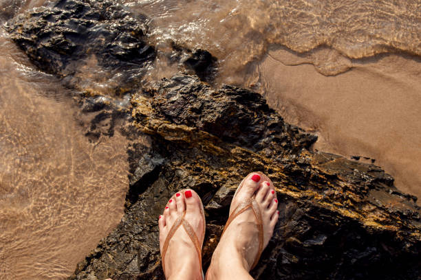 istock Female on summer beach, top view 645911652