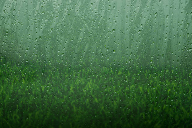 Glass Window with Water Droplet from Rain and Blurred Green Grass as outside