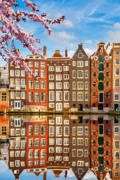 istock Old buildings in Amsterdam at spring 645917788