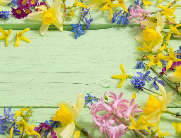istock flowers on green wooden background 645920076