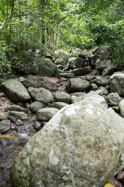 istock chantathen forest at Bang Phra 645920770