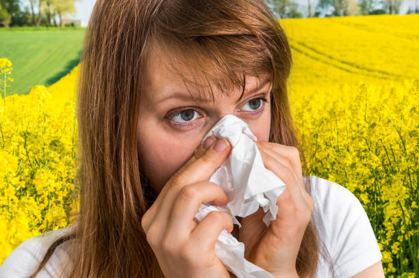 istock Woman with allergy on yellow rape field sneezing in tissue 645924032