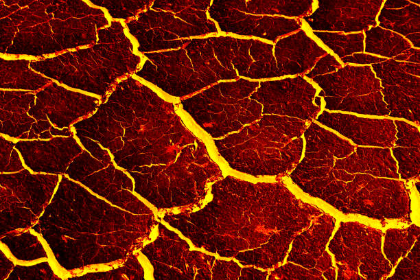 istock the surface of the lava. background 645929758