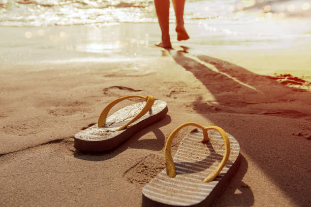 istock Walk into the sea in summer 645935516