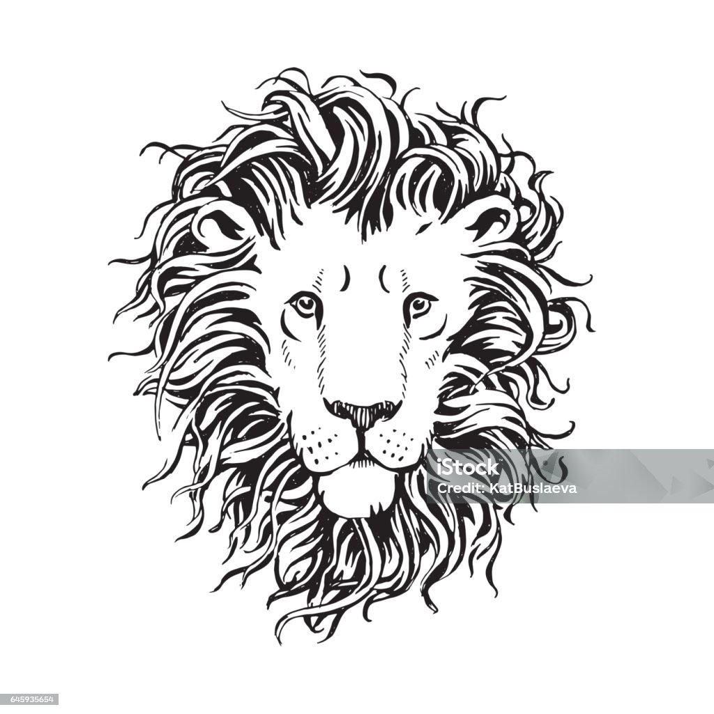 Vector hand drawn head of lion with a fluffy mane isolated on white background Lion - Feline stock vector