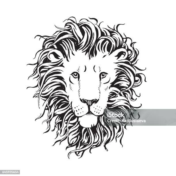 Vector Hand Drawn Head Of Lion With A Fluffy Mane Isolated On White Background Stock Illustration - Download Image Now