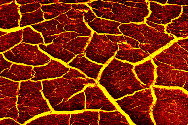 istock the surface of the lava. background 645936536