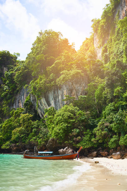 istock Blue skies and sun-kissed beaches 645941850