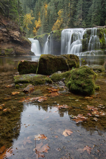 istock Lower Lewis River Falls, Gifford Pinchot National Forest 645944870
