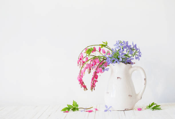 istock flowers in jug on white background 645948070
