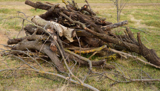 istock A small pile of firewood stacked 645949272