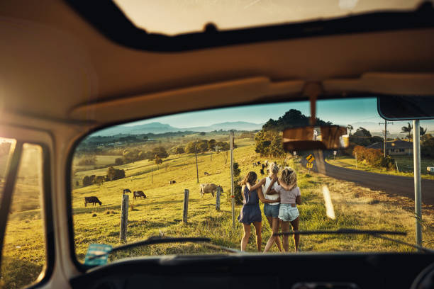 Have friends, Will travel