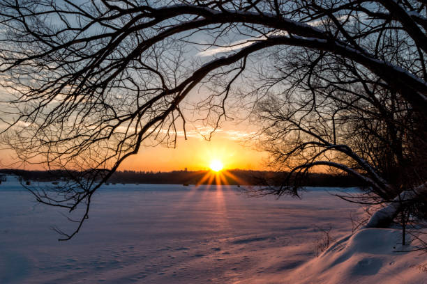 istock Winter Sunrise on Muskrat Lake 645974902
