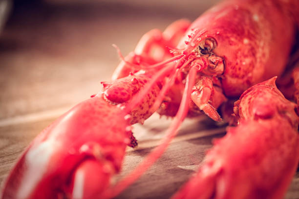 Delicious cooked lobster. A lobster can be cooked and boiled in a pot with salted water. It can also be prepared by steaming or on barbecue grill.