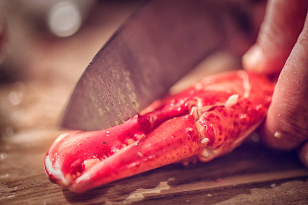 Lobster on a white background
