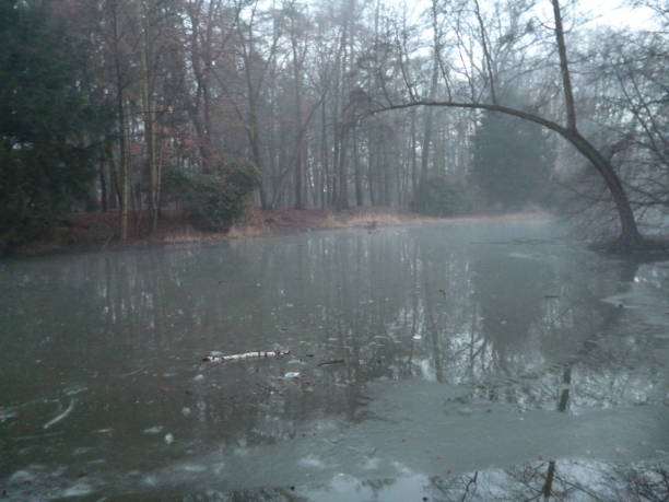 istock Pondscene depressed / Pondscene deppresive 645998252