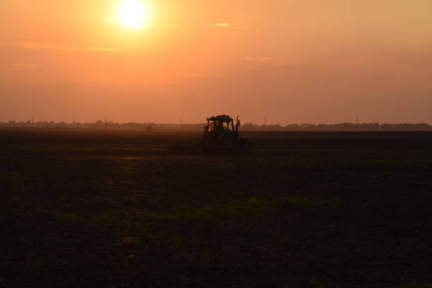 istock Tractor plowing plow the field on a background sunset. tractor silhouette on sunset background 646007514