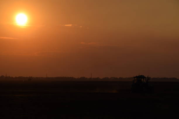 istock Tractor plowing plow the field on a background sunset. tractor silhouette on sunset background 646007518