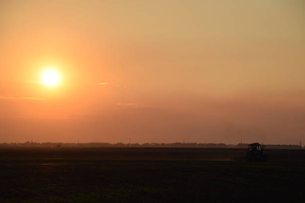 istock Tractor plowing plow the field on a background sunset. tractor silhouette on sunset background 646007520