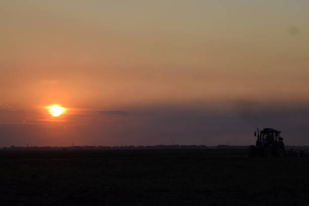istock Tractor plowing plow the field on a background sunset. tractor silhouette on sunset background 646007548