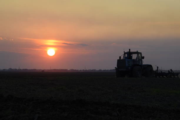 istock Tractor plowing plow the field on a background sunset. tractor silhouette on sunset background 646007574