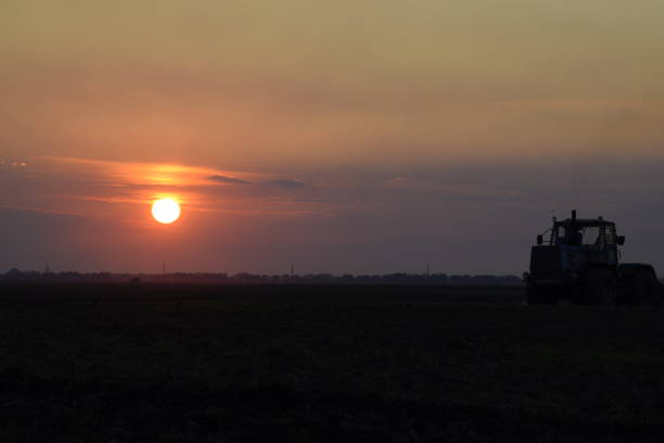 istock Tractor plowing plow the field on a background sunset. tractor silhouette on sunset background 646007578