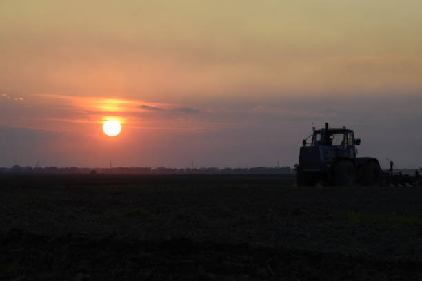 istock Tractor plowing plow the field on a background sunset. tractor silhouette on sunset background 646007580