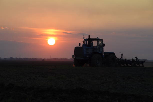 istock Tractor plowing plow the field on a background sunset. tractor silhouette on sunset background 646007582