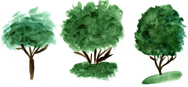 Watercolor hand drawn trees illustration. Outdoor, nature design elements
