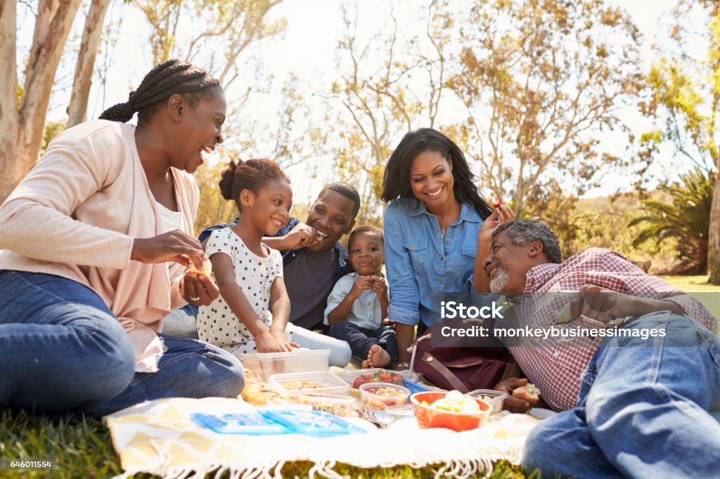 Multi Generation Family Enjoying Picnic In Park Together Picnic Stock Photo