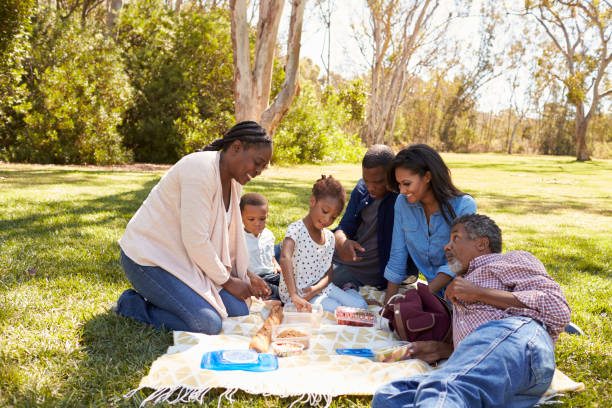 istock Multi Generation Family Enjoying Picnic In Park Together 646011560