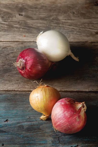 istock Onions of different varieties and colors. Dark gray background. 646022818