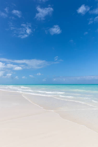 istock Idyllic Tropical Sand Beach, Cayo Coco, Cuba 646023184