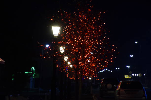istock The branches of street trees, adorned with red lights 646023600