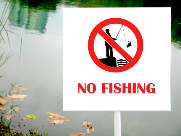 istock No fishing sign next to a pond 646035756