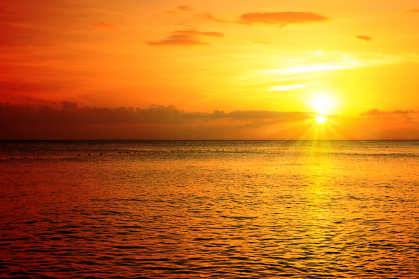 istock Golden sunrise sunset over the sea ocean 646036072