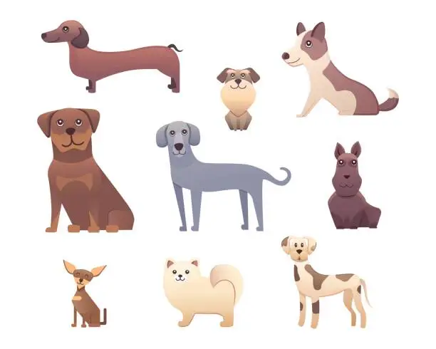 Vector illustration of Different type of cartoon dogs. happy dog set vector illustration.