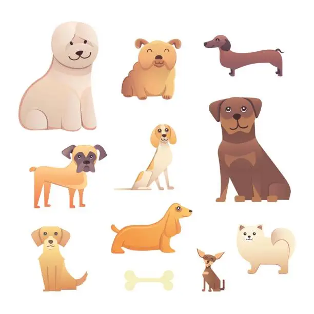 Vector illustration of Different type of cartoon dogs. happy dog set vector illustration.