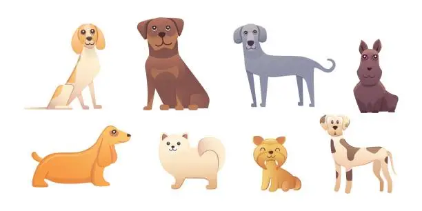 Vector illustration of Different type of cartoon dogs. happy dog set vector illustration.