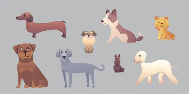 Vector illustration of Different type of cartoon dogs. happy dog set vector illustration.