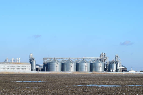 istock Plant for the drying and storage of grain 646044204