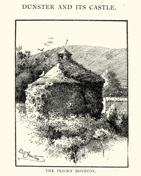 ilustrações, clipart, desenhos animados e ícones de priorado dovecot, dunster, 1892 - dunster house