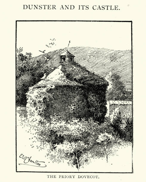 приорат давкот, данстер, 1892 - dunster house stock illustrations