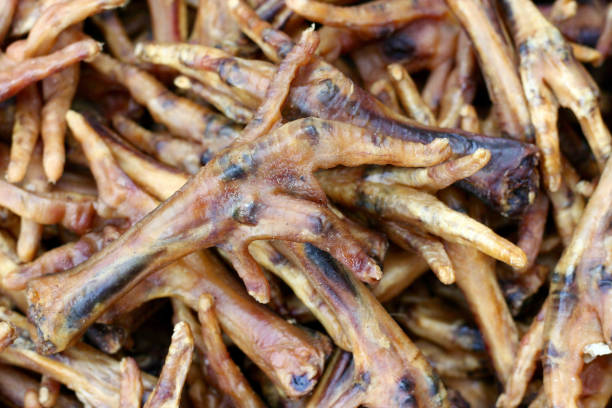 High angle view of dried chicken feet, food for dogs