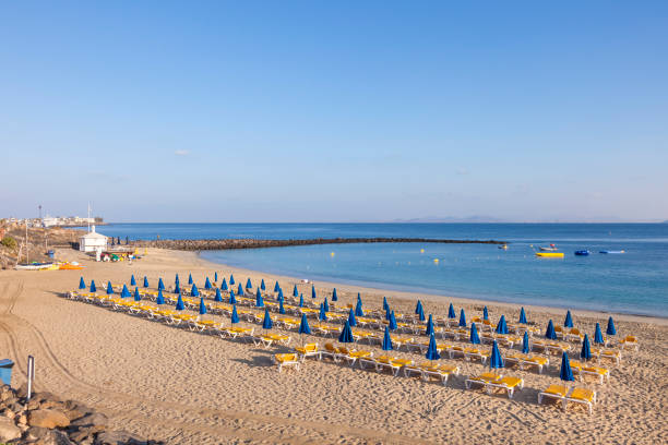 istock sandy beach in the morning with beach beds and umbrella 646047492